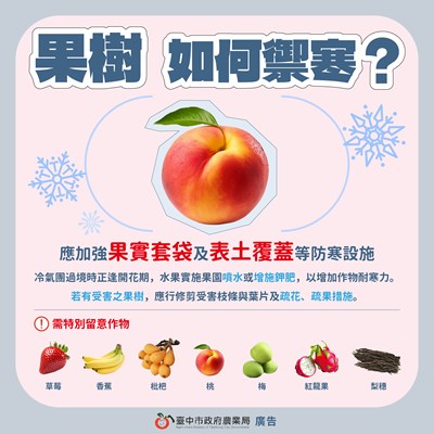 1130802_寒害圖卡-02