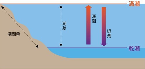 潮間帶