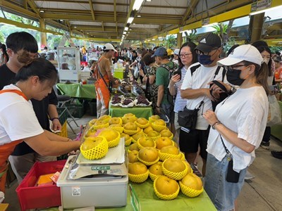 Caption: Main image – Taichung’s Formosa pears are highly favored by consumers for their excellent texture, sweetness, and delightful taste.