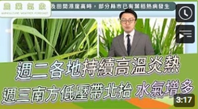 農業氣象影片縮圖(1140916)