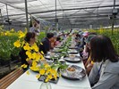 走訪外埔文心蘭園