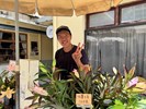 百合專研
