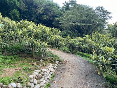 心禾園休閒農場