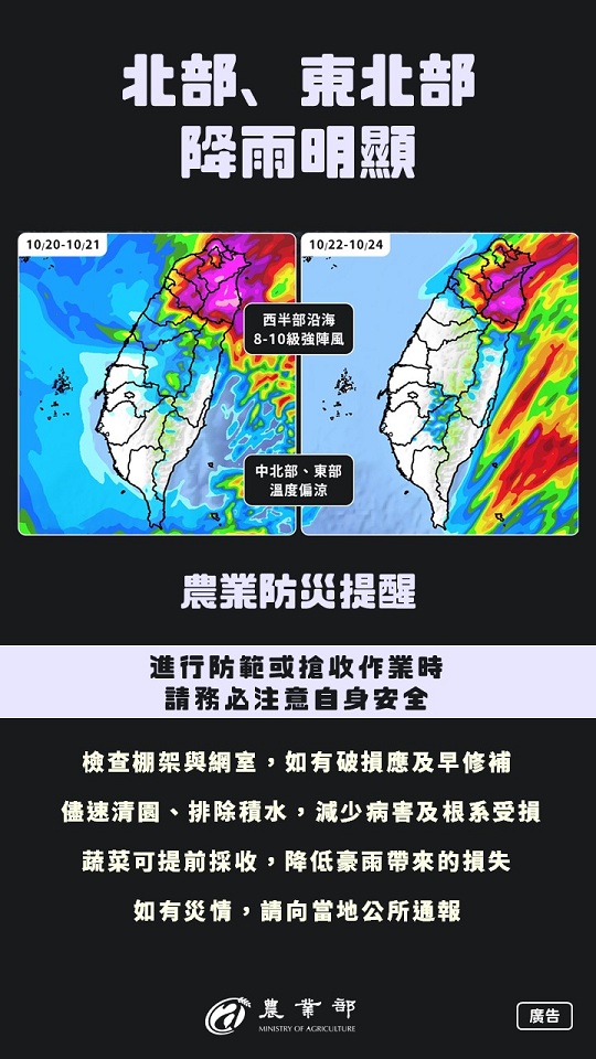 20251020-1024共伴效應