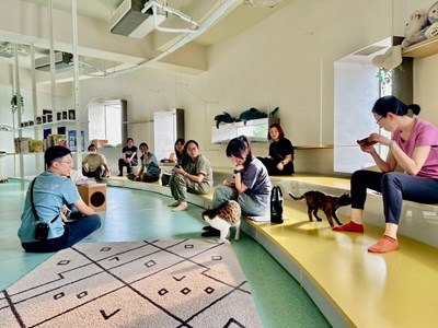 找回助人初衷與療癒力量-社工自我覺察療癒工作坊-動物之家開課-4