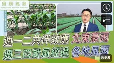 農業氣象影片縮圖(1141111)