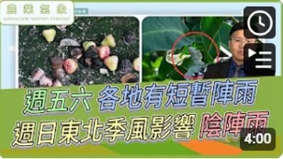 農業氣象影片縮圖(1141219)