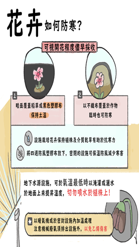 花卉如何防寒