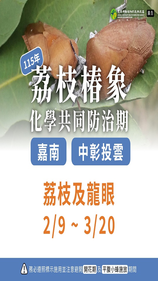 農業氣象特輯-荔枝椿象共同防治期(1150209-0320)