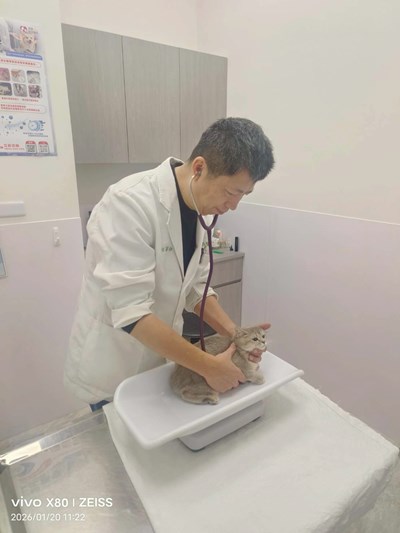 獸醫師守護毛孩不停歇