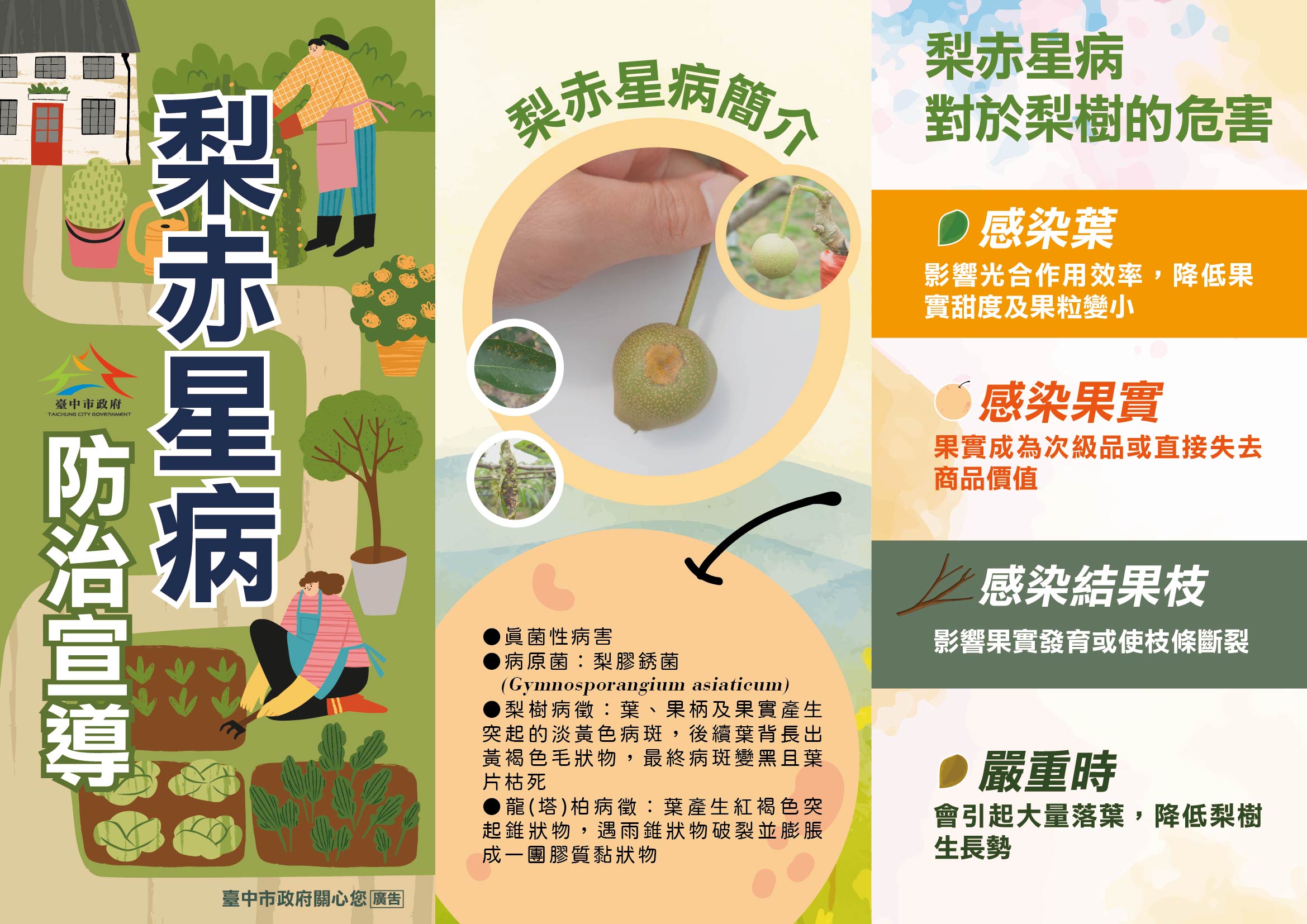 梨赤星病防治宣導摺頁