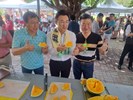 貴賓西瓜品嘗