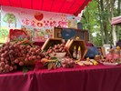 荔枝鮮果 蜂蜜產品展示_0