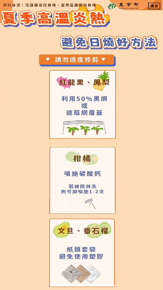 農業特輯_夏季高溫炎熱，避免日燒好方法_540_960