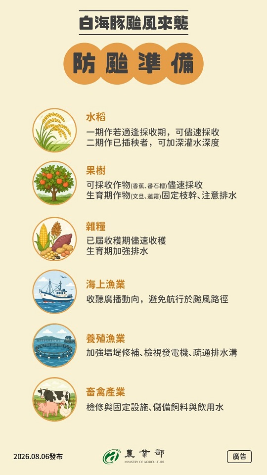 白海豚颱風來襲