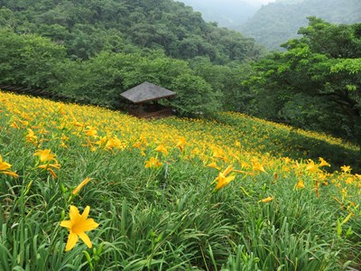 沐心泉休閒農場