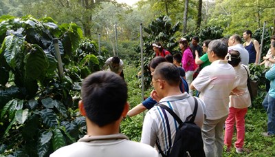 四角林咖啡莊園休閒農場