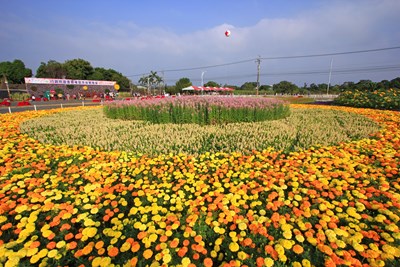 Ma lit phu- Xinshe Sea of Flowers Festival